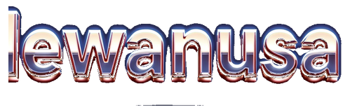 dewanusa logo